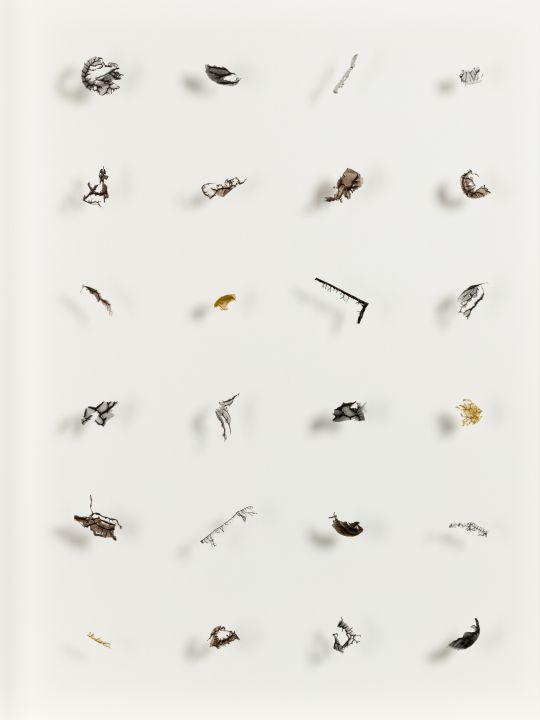 T/R. 974 (Incidental Fragments)